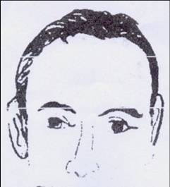 面相算命入门：三停，什么是三停？2