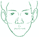 面相脸颊颚透视性格