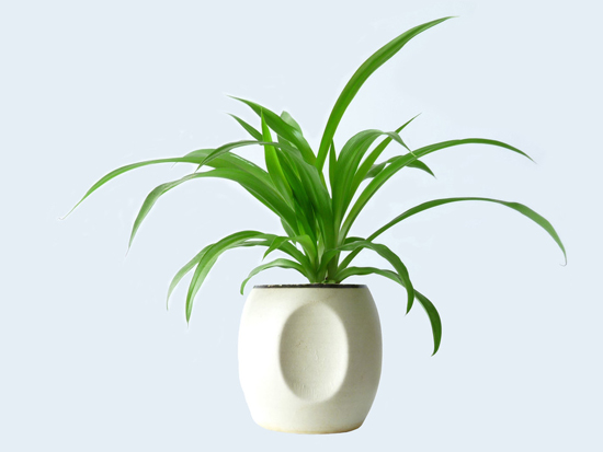 中国古代术数与现代装饰艺术的巧妙结合