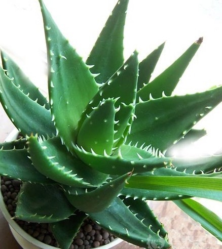 命理推测的意义是什么?